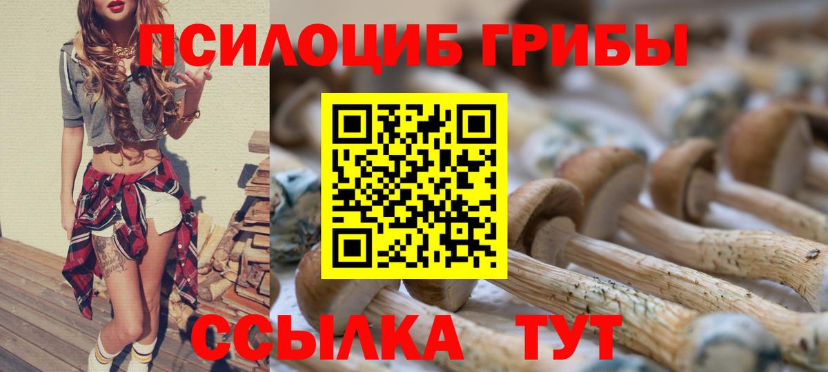 Псилоцибиновые грибы прущие грибы  Вход с VPN  Заринск 