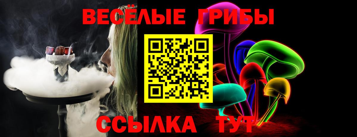 Псилоцибиновые грибы Psilocybine cubensis Заринск