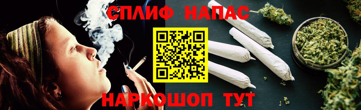 Каннабис план Заринск